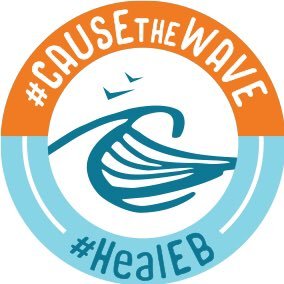 #CauseTheWave Pearl Jam Fan Movement is a Wishlist Foundation division that raises awareness and funds to #HealEB benefiting @EBResearch since 2014.