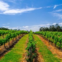 Sophie (@soundsophie) 's Twitter Profile Photo