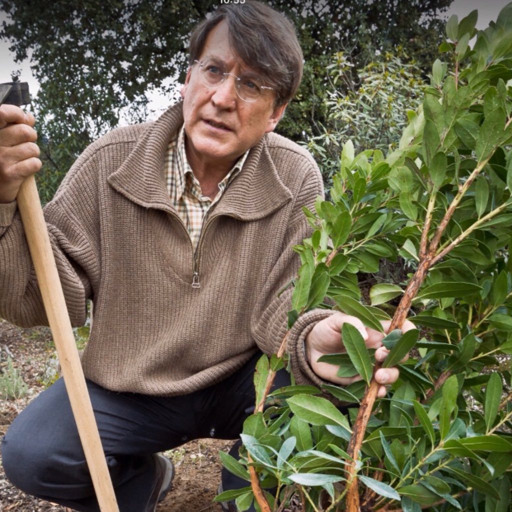 Evadido de la mezquindad que manda. Emboscado que planta árboles. Campesino que escribe libros. Cineasta que prefiere hablar. Intenta salvar a La que le salva