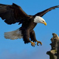 Eduardo Gomes🇧🇷 (@eduardo88588549) 's Twitter Profile