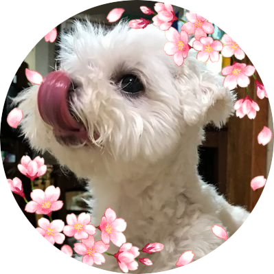 あこ 垢移動中 長期計画 Ako Tourabu Twitter あこ 垢移動中 長期計画 Ako Tourabu Twitter