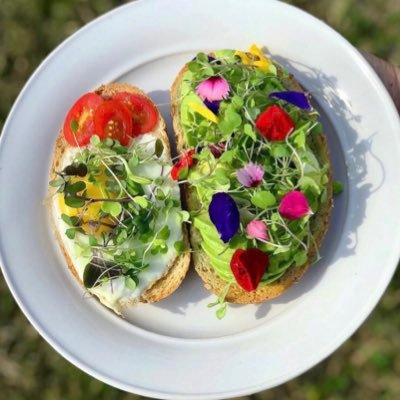 Small family farm located in St. Francisville, LA that specializes in microgreens and sprouts 🌱