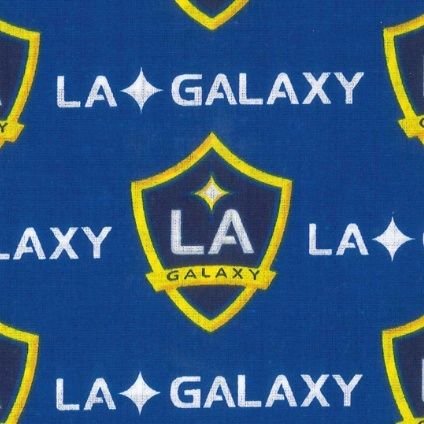 #LAGalaxy