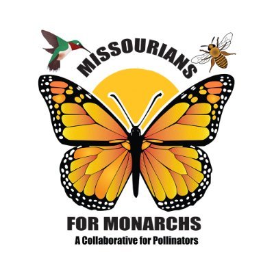 As of March 2022, M4M has paused the use of Twitter. You can still visit us at: 
Facebook and Instagram as @moformonarchs 
YouTube 
https://t.co/4DXXp2Aoxt