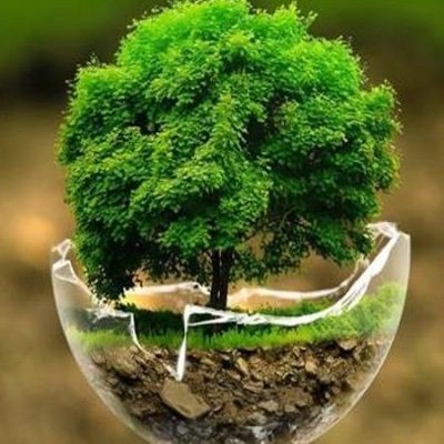 This page is dedicated to tweeting and retweeting relevant tweets pertaining to World Environment Day.