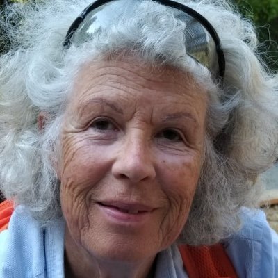 MichaelaTulipan's profile picture. 