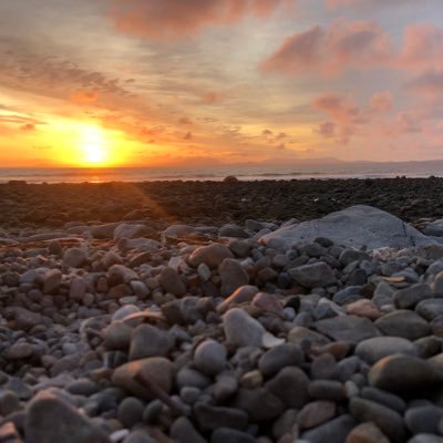 mark_com's profile picture. 