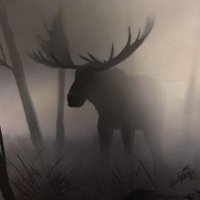 Lisa Mast (@lisamast5) 's Twitter Profile