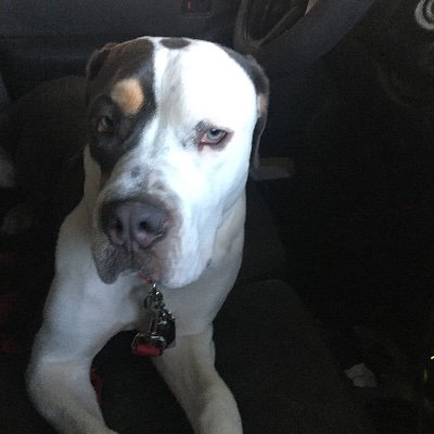 RyanOMeara10's profile picture.