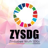 DecadeOfAction#SDGs(@ZimYouthSDGs) 's Twitter Profileg
