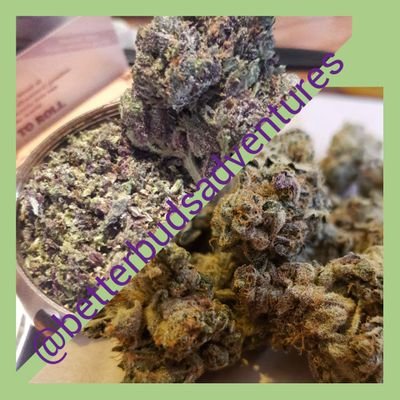 BBudsAdventures's profile picture. We R BetterBudsAdventures:420lifestyle💚It's a Stoner Journal📗,Exploring life, Capturing&Sharing our adventures,experiences,Some DIYs & what we do with MaryJ🌱