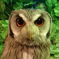 brother-1 (@brother96065560) Twitter profile photo