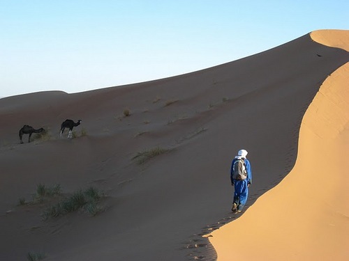 trek_randonnee's profile picture. écovoyage, éco-trek maroc, eco-randonnée maroc, eco-trek toubkal, randonnée ecologique au toubkal,  trekking, haut atlas, toubkal, vacance écologique maroc,