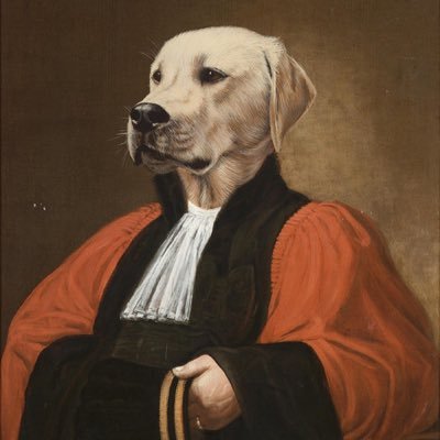 dogbitesolicitr's profile picture. Award winning UK leading dog bite solicitor. Offering specialist advice on a No Win No Fee basis. https://t.co/f4FL2uzrDQ