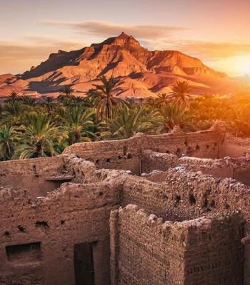 Infocheapcheap1's profile picture. 2020 is a Great year of harvest