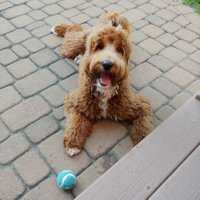 Lee Barfknecht (@leebeeballer) 's Twitter Profile Photo Lee Barfknecht (@leebeeballer) 's Twitter Profile Photo