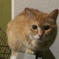 生きるのだ39億4千2百万秒 part3 (@39part3) 's Twitter Profile