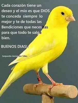 PabloFlixMartn2's profile picture. noticias del obrador