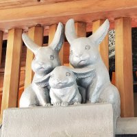shin〔しん〕 (@1shinchan6) 's Twitter Profile