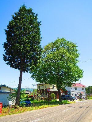 好きなもの、気になるものごとのための アカウント