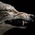 Coyote Down (@coyote__down) Twitter profile photo Coyote Down (@coyote__down) Twitter profile photo