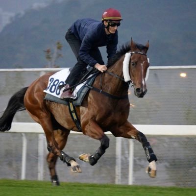 Profile Picture of Romain Clavreul (@ClavreulR) on Twitter