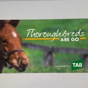 Thoroughbreds Are Go is a new TV program produced by SearcyMedia promoting the thoroughbred away from racing & how to care for them!