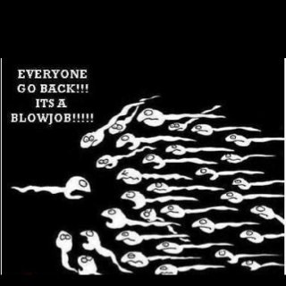 sae_123_marvel's profile picture. 