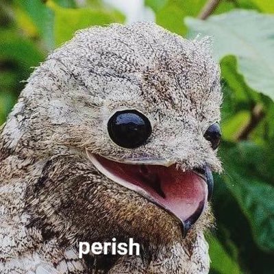 Benjami75124420's profile picture. 