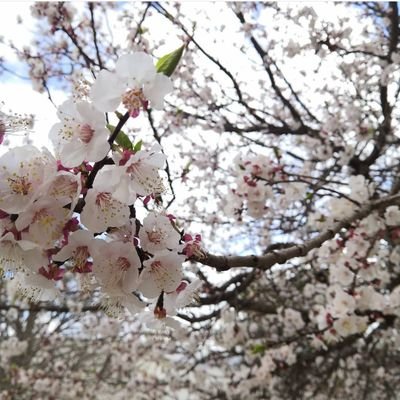 59JZ6eUkdrJCZoG's profile picture. ‏لله... وان كثرت احزاننا وذنوبنا وهمومنا  ..