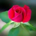 Thanh Tan (✸,✸) (@thanhtan3251) Twitter profile photo Thanh Tan (✸,✸) (@thanhtan3251) Twitter profile photo