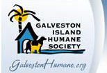 Dedicated to promoting animal welfare and the protection and prevention of unwanted or homeless animals on Galveston Island since 1981.