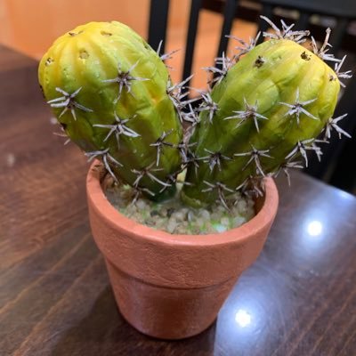 lihaidongdl's profile picture. 