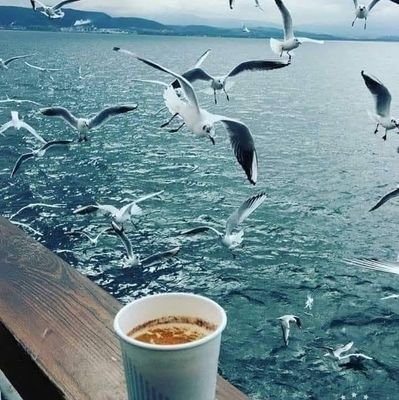 AlkhazalehB's profile picture.