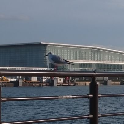 HigasiKuNoJunin's profile picture. ラジオ愛溢れる一(いち)ラジオリスナー❗(地底人ラジオで福山雅治さんが放送局の紹介で「ラジオ愛溢れる各一流放送局」からの引用)そして新潟の魅力を全国に発信していきたいと思います🙇