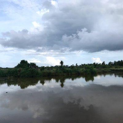 TeamAfirin's profile picture. 