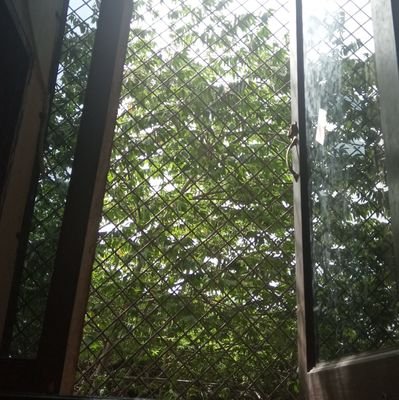 typewritter12's profile picture. writter