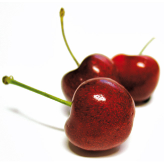 jugoit's profile picture. JUGO.it, ultime notizie, commenti, foto e video su gossip, sport, tecnologia, cinema, musica, viaggi ed eventi, oltre a pratici consigli di salute e benessere.