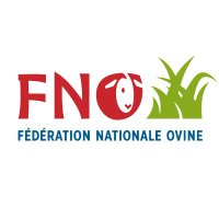 FNO (@eleveursovins) 's Twitter Profile Photo FNO (@eleveursovins) 's Twitter Profile Photo
