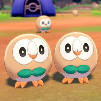 えんぷてぃ ポケgoフレ募集 در توییتر 取り敢えずの個体値厳選中に10匹目で色違いのロコンちゃん 特性も残念だけど可愛いからよし W ポケモン 色違い 剣盾 アローラロコン ポケモンホーム ポケモン剣盾 Nintendoswitch