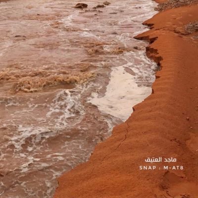 bbkkii4546's profile picture. 