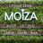 moizajp