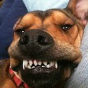 Dave Brunner - @DaveBrunner - Twitter