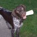 The Pointer (@uwsppointer) Twitter profile photo The Pointer (@uwsppointer) Twitter profile photo