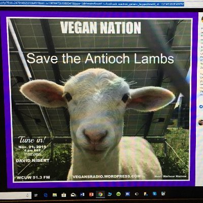 Please contact Antioch College & respectfully ask them to end the exploitation & killing of ALL animals. 937-319-6164 or 937-319-0159  /  tmanley@antiochcollege