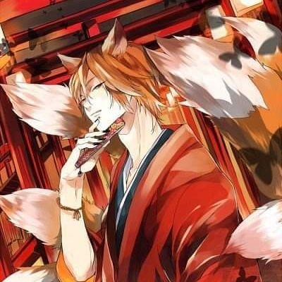 the fox~さんのプロフィール画像