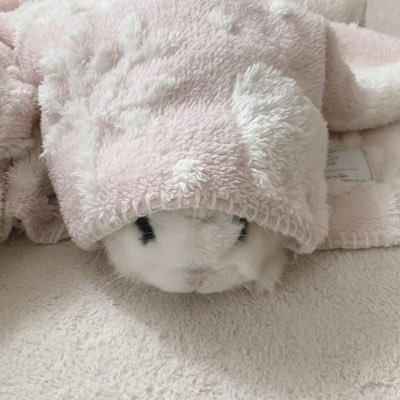 GAZさんのプロフィール画像