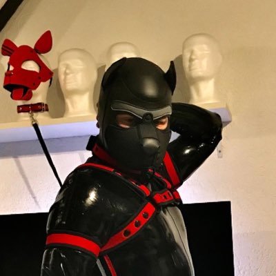 Just a kinky handsome rubber puppy living next to cologne which is in a lot of things and always search’s for people with the same mind. NSFW 🔞 Account!