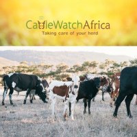 CattleWatchAfrica(@CattleWatchSA) 's Twitter Profile Photo