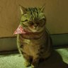 taxyach's profile picture. Medchem,
Hetero bifunctional molecules,ADC
KNIME,
Learning English,
views posted here is on my own